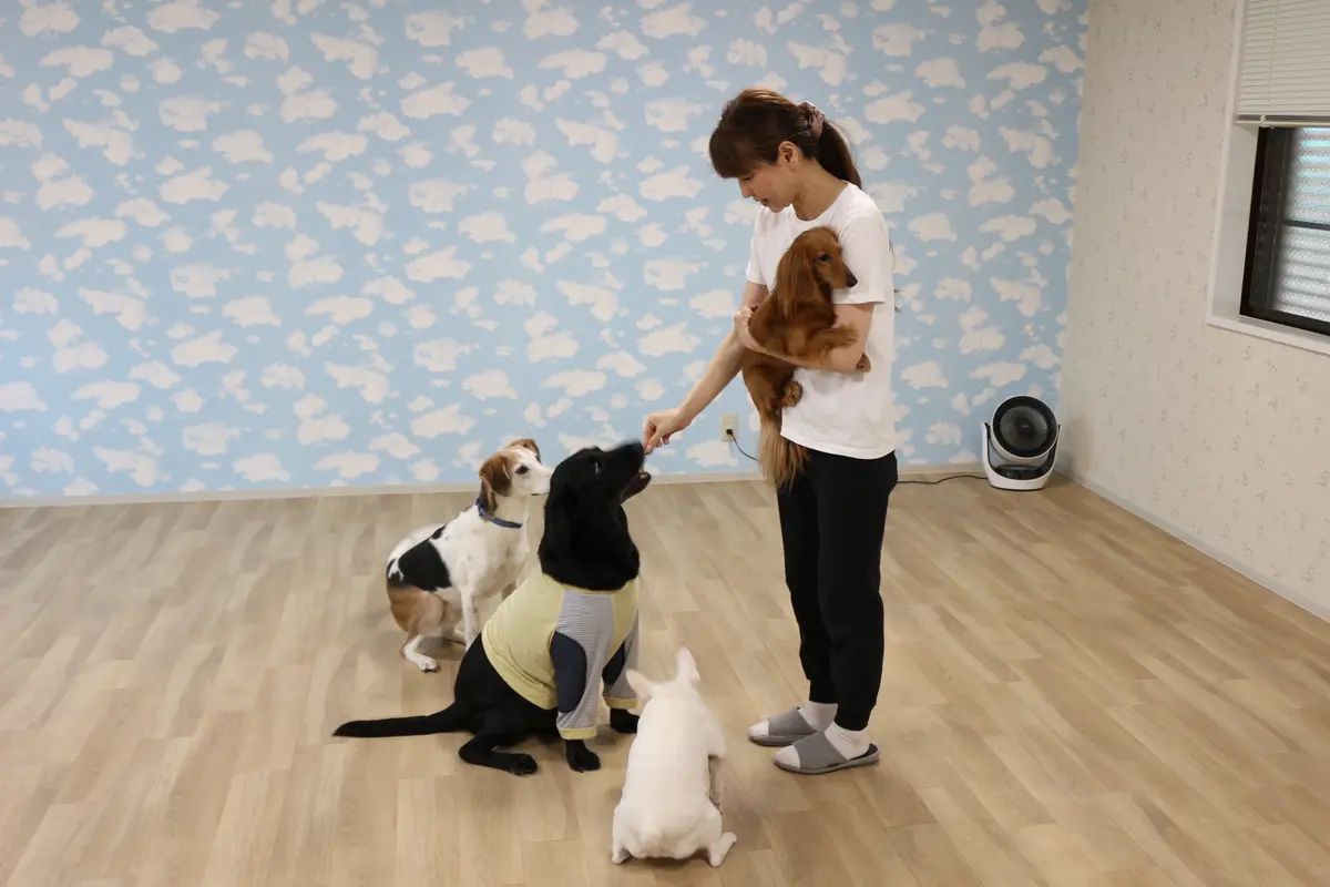 遊びの時間にオーナーの周りに集まる犬たち